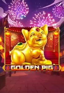 golden-pig